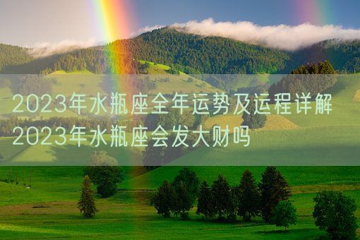 2023年水瓶座全年运势及运程详解  2023年水瓶座会发大财吗(图1)