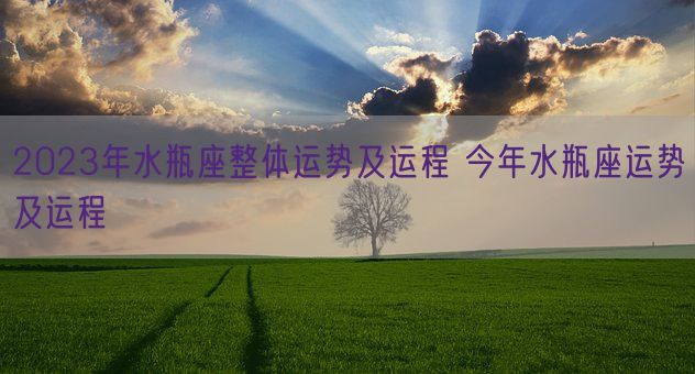 2023年水瓶座整体运势及运程 今年水瓶座运势及运程(图1)