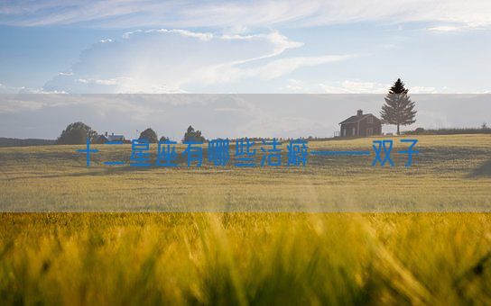 十二星座有哪些洁癖——双子(图1) 十二星座有哪些洁癖——双子(图1)