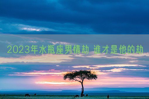 2023年水瓶座男情劫 谁才是他的劫(图1)