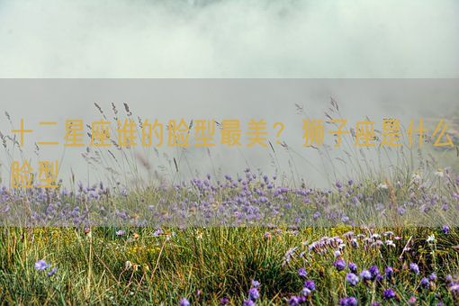 十二星座谁的脸型最美？狮子座是什么脸型(图1)