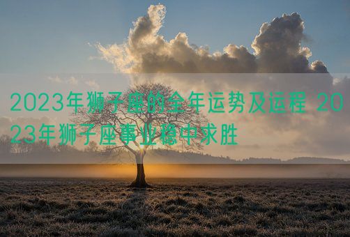 2023年狮子座的全年运势及运程 2023年狮子座事业稳中求胜(图1)