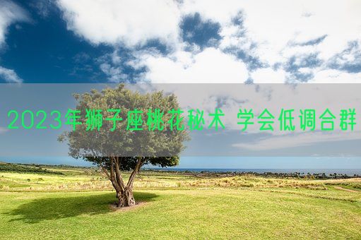 2023年狮子座桃花秘术 学会低调合群(图1)