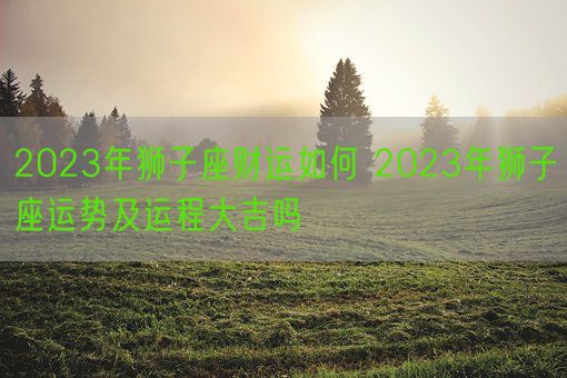 2023年狮子座财运如何 2023年狮子座运势及运程大吉吗(图1)