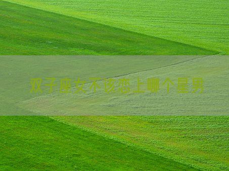 双子座女不该恋上哪个星男(图1)