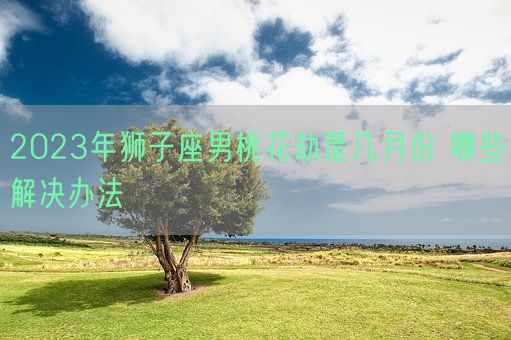 2023年狮子座男桃花劫是几月份 哪些解决办法(图1)