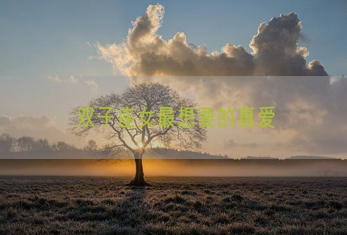 双子座女最想要的真爱(图1) 双子座女最想要的真爱(图1)