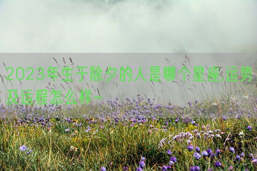 2023年生于除夕的人是哪个星座,运势及运程怎么样-(图1)