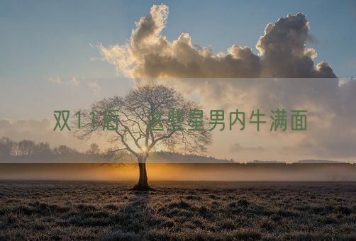 双11后,这些星男内牛满面(图1) 双11后,这些星男内牛满面(图1)