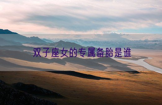 双子座女的专属备胎是谁(图1)