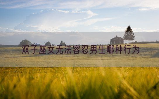 双子座女无法容忍男生哪种行为(图1) 双子座女无法容忍男生哪种行为(图1)
