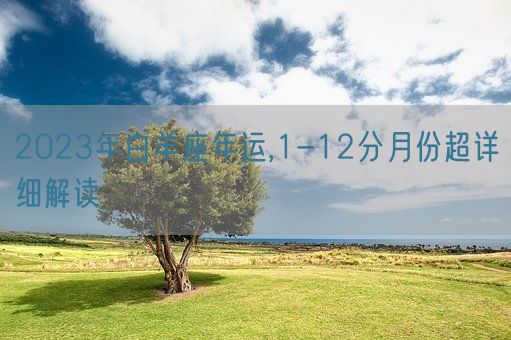 2023年白羊座年运,1-12分月份超详细解读(图1)