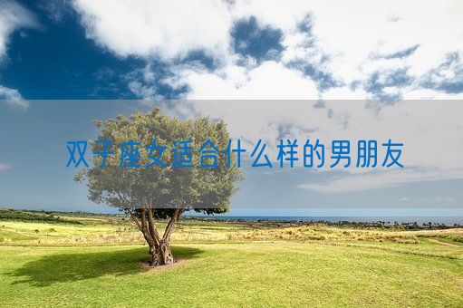 双子座女适合什么样的男朋友(图1)