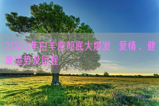 2023年白羊座彻底大爆发  爱情、健康运势及运程(图1)