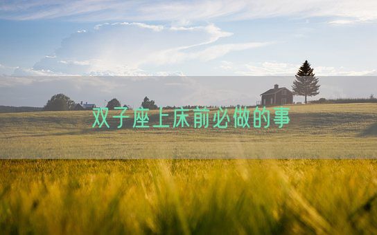 双子座上床前必做的事(图1)