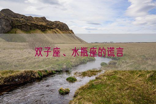 双子座、水瓶座的谎言(图1)