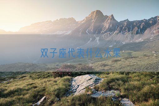 双子座代表什么水果(图1)