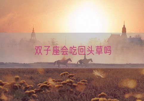 双子座会吃回头草吗(图1) 双子座会吃回头草吗(图1)
