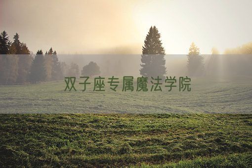 双子座专属魔法学院(图1)