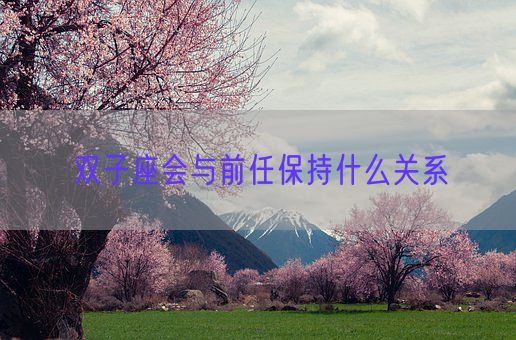 双子座会与前任保持什么关系(图1) 双子座会与前任保持什么关系(图1)