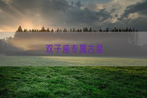 双子座专属古装(图1) 双子座专属古装(图1)