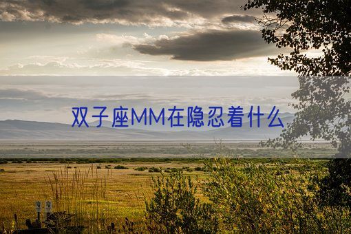 双子座MM在隐忍着什么(图1)