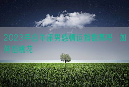 2023年白羊座男感情运指数高吗  如何招桃花(图1)