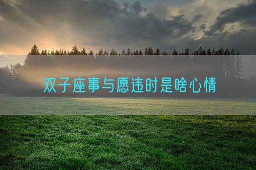 双子座事与愿违时是啥心情(图1)