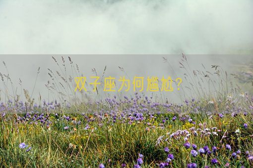 双子座为何尴尬?(图1) 双子座为何尴尬?(图1)