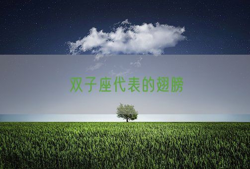 双子座代表的翅膀(图1)