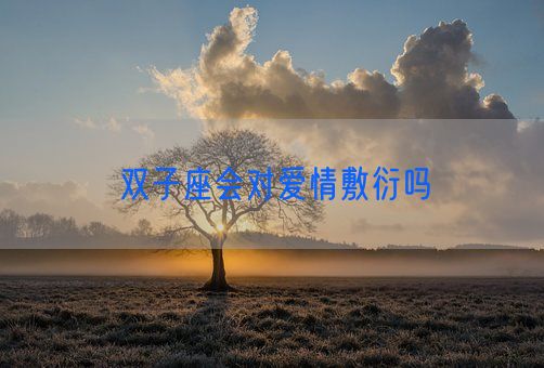 双子座会对爱情敷衍吗(图1) 双子座会对爱情敷衍吗(图1)