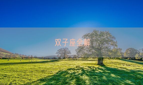 双子座全解(图1) 双子座全解(图1)