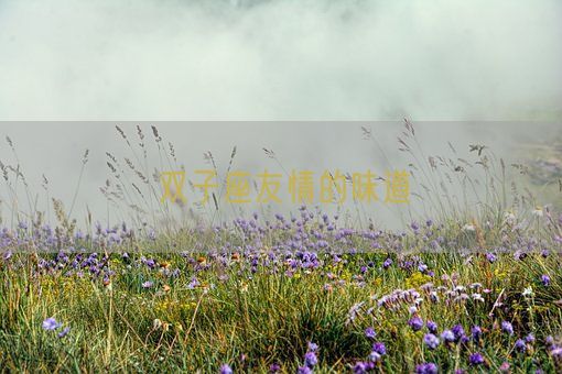 双子座友情的味道(图1) 双子座友情的味道(图1)