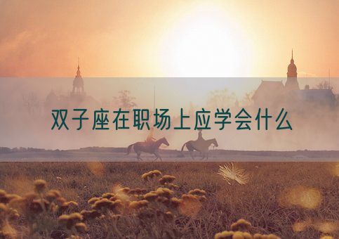 双子座在职场上应学会什么(图1)