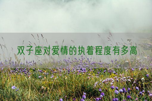 双子座对爱情的执着程度有多高(图1) 双子座对爱情的执着程度有多高(图1)