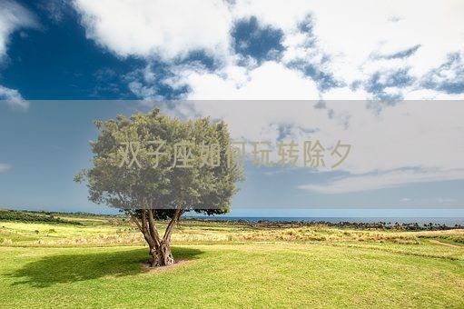 双子座如何玩转除夕(图1) 双子座如何玩转除夕(图1)
