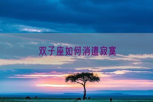 双子座如何消遣寂寞(图1) 双子座如何消遣寂寞(图1)