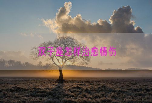 双子座怎样治愈情伤(图1)