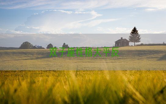 双子座性格大平反(图1) 双子座性格大平反(图1)