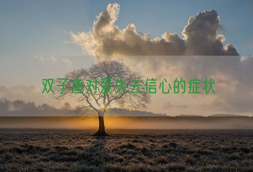 双子座对爱失去信心的症状(图1)