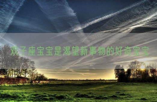 双子座宝宝是渴望新事物的好奇宝宝(图1) 双子座宝宝是渴望新事物的好奇宝宝(图1)