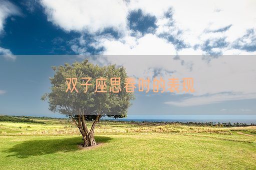 双子座思春时的表现(图1)