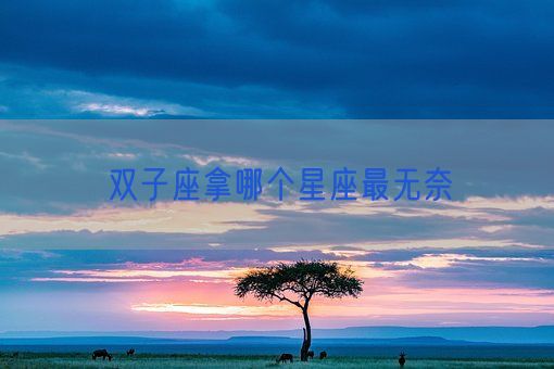 双子座拿哪个星座最无奈(图1) 双子座拿哪个星座最无奈(图1)