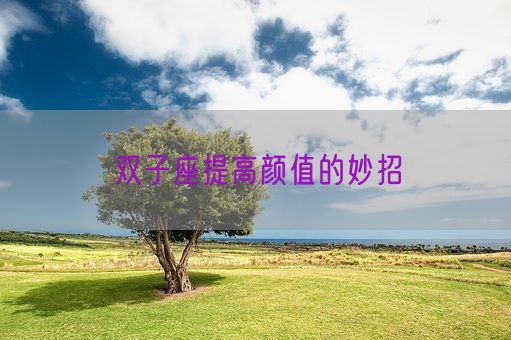 双子座提高颜值的妙招(图1)