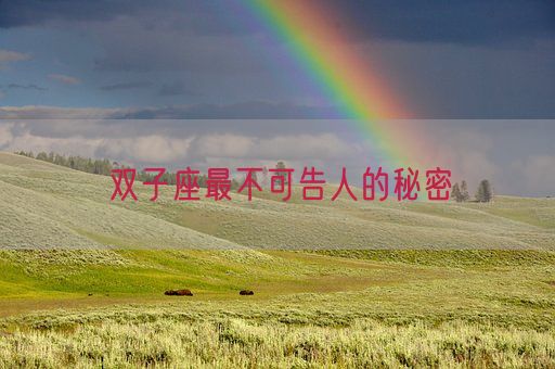 双子座最不可告人的秘密(图1) 双子座最不可告人的秘密(图1)