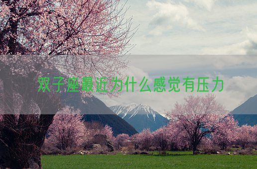 双子座最近为什么感觉有压力(图1) 双子座最近为什么感觉有压力(图1)