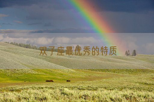 双子座最优秀的特质(图1) 双子座最优秀的特质(图1)