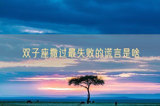 双子座撒过最失败的谎言是啥(图1)