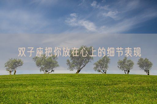 双子座把你放在心上的细节表现(图1)
