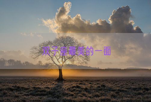 双子座最美的一面(图1) 双子座最美的一面(图1)